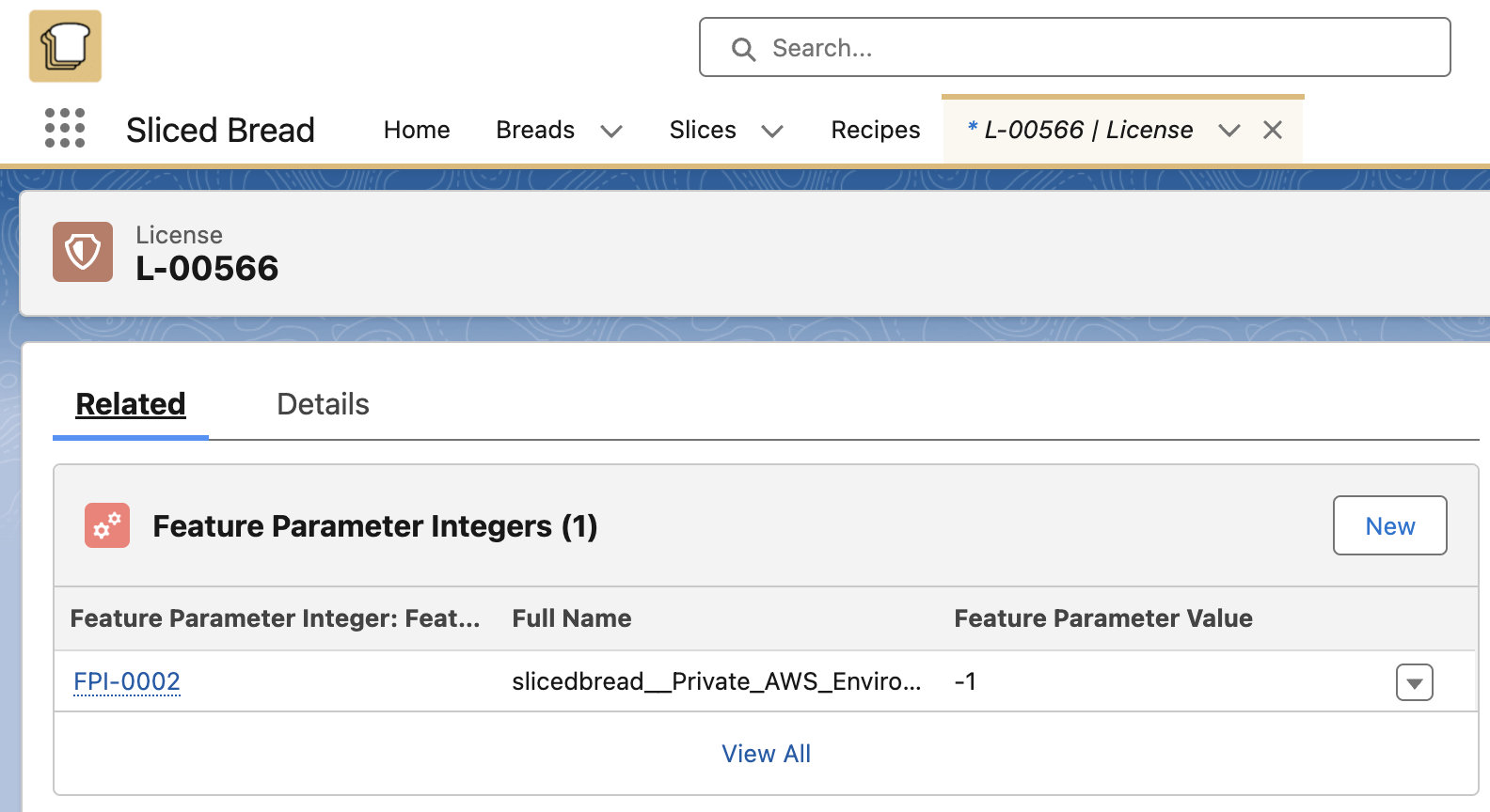 Private AWS Environment