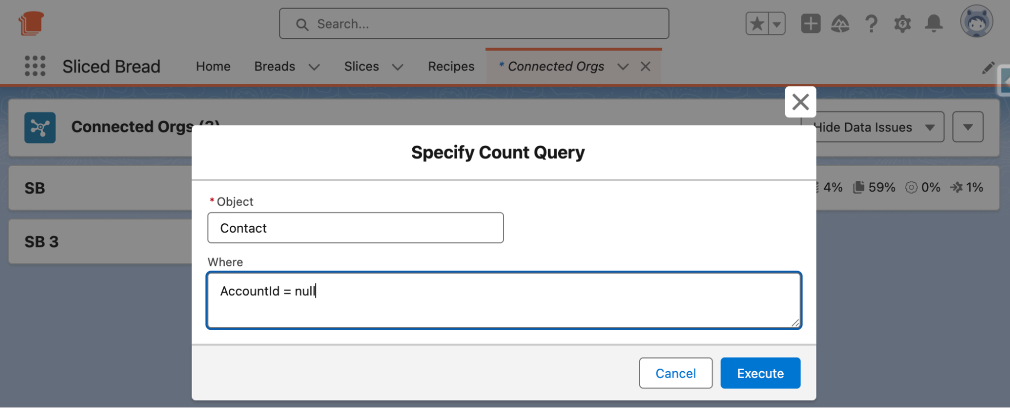 Execute Count Query 2
